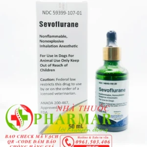 Gây Mê Dạng Nước